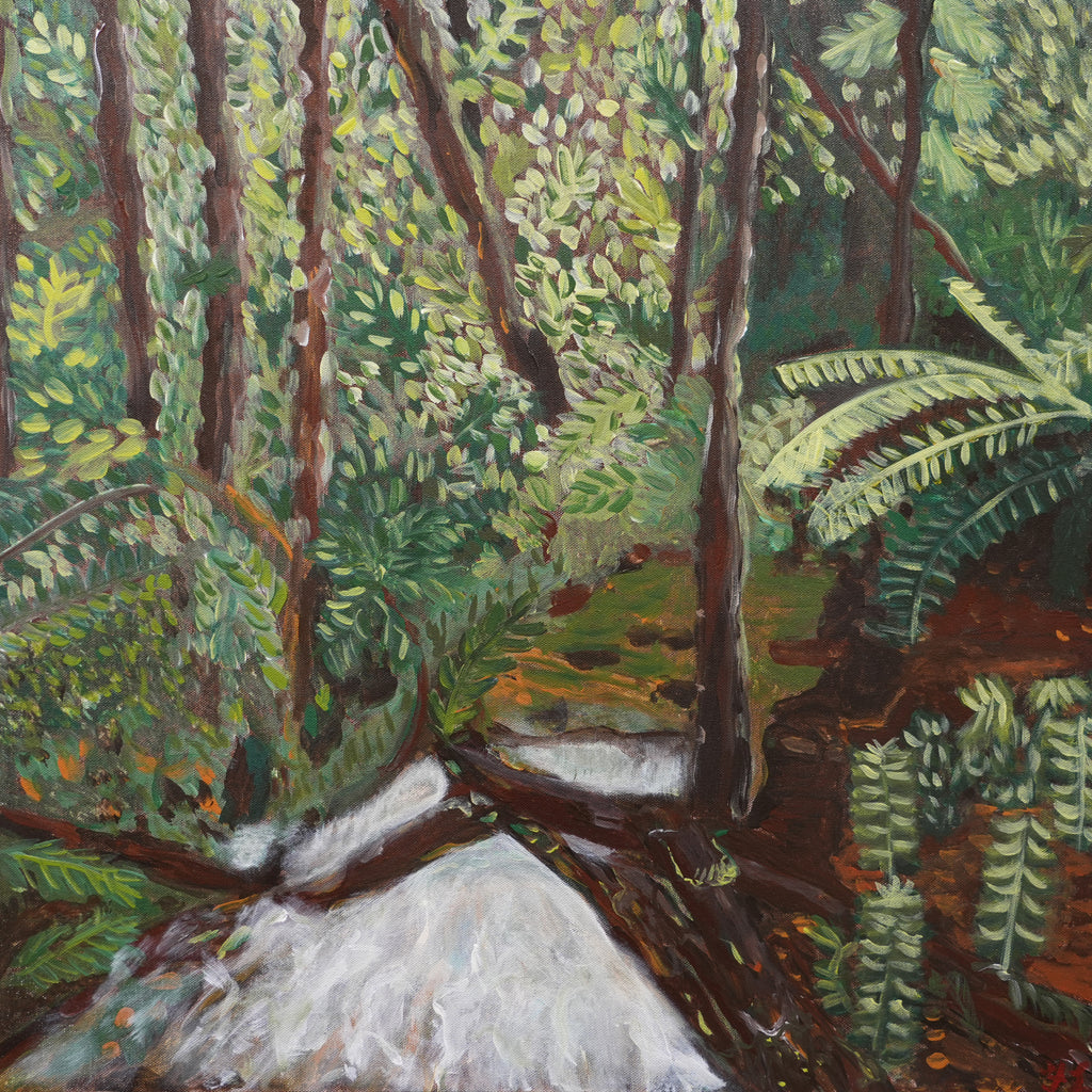 Fiona Lerk Slow Streams