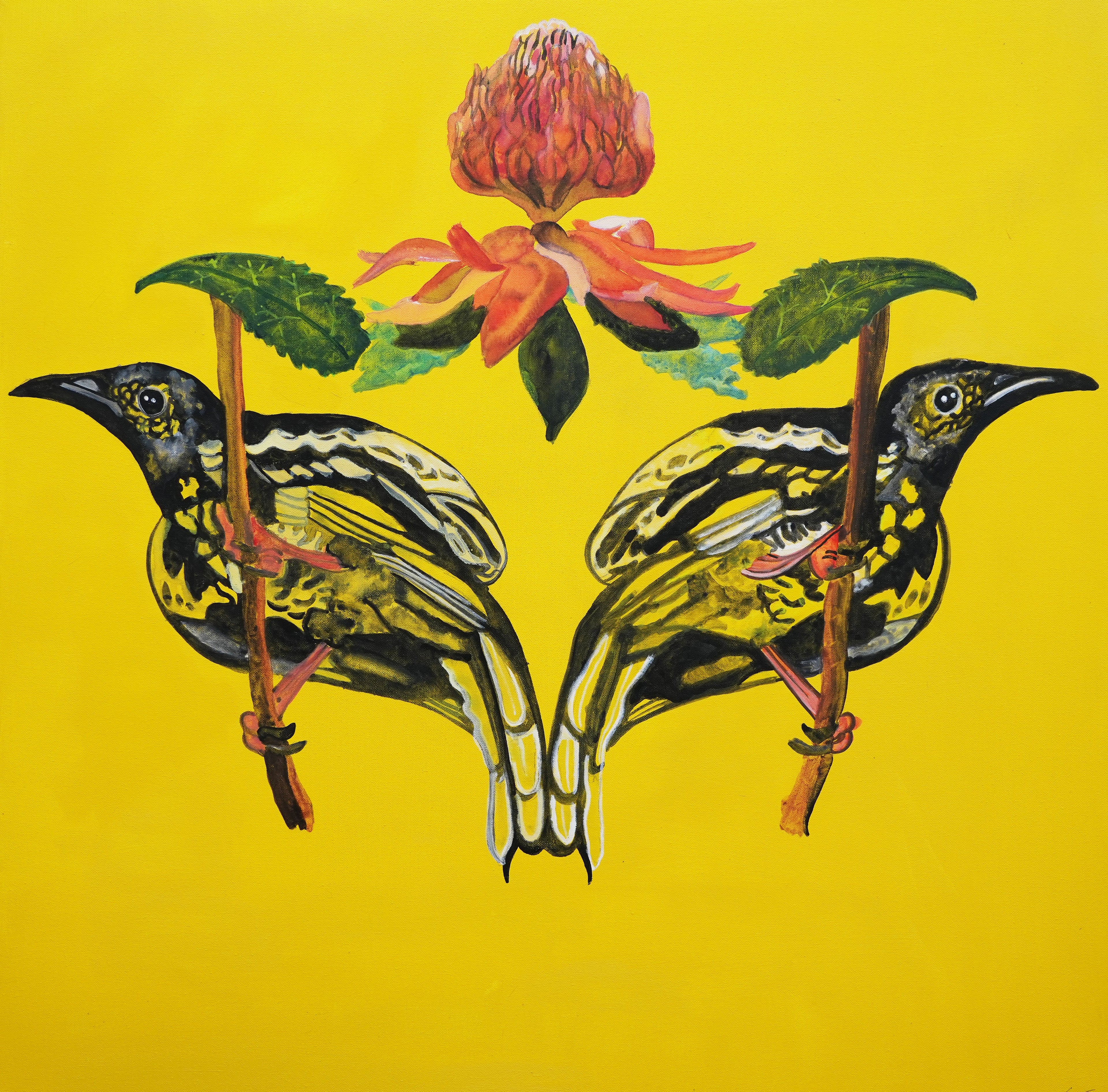 Mirrored Honey Eater