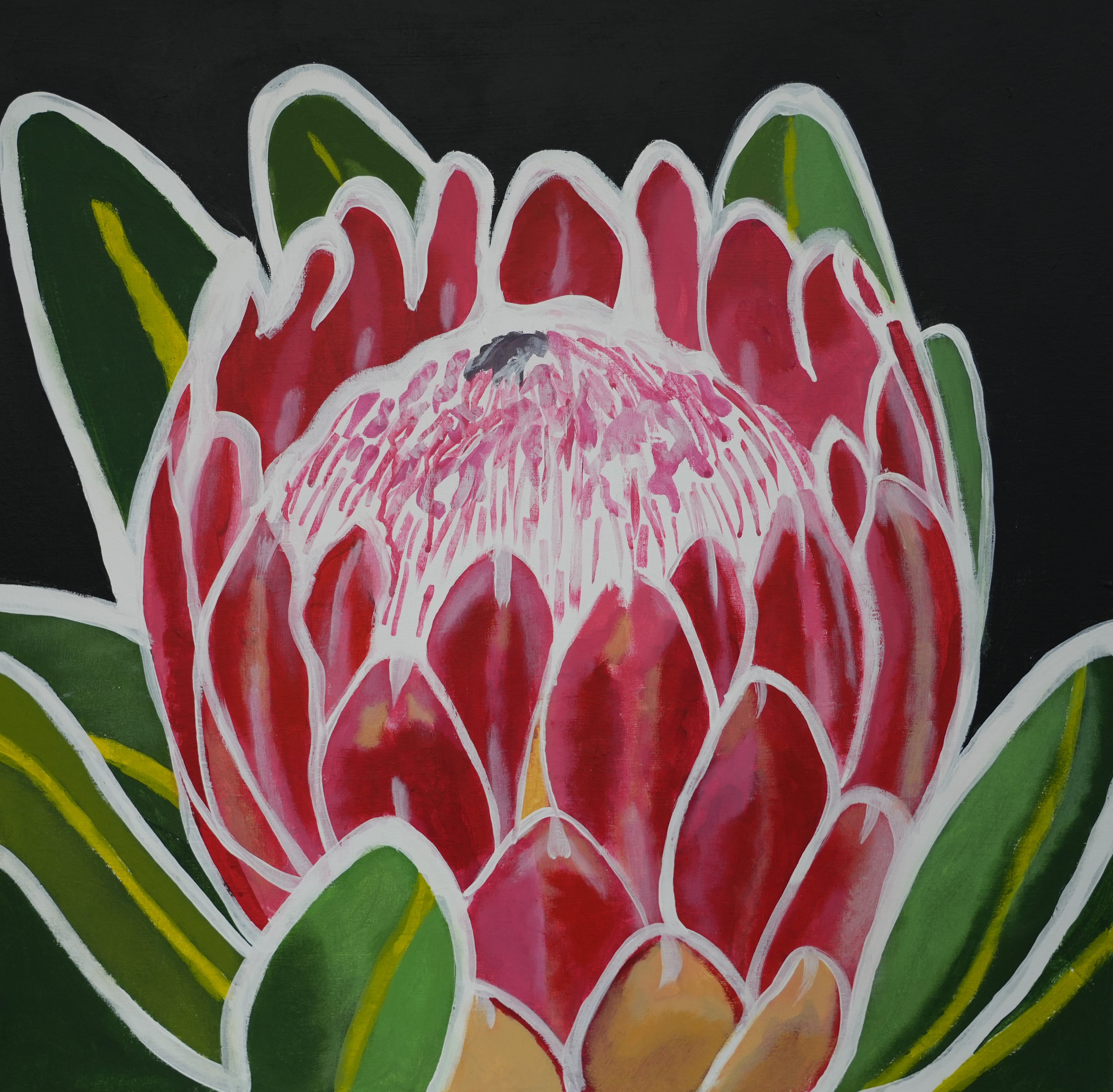 Protea