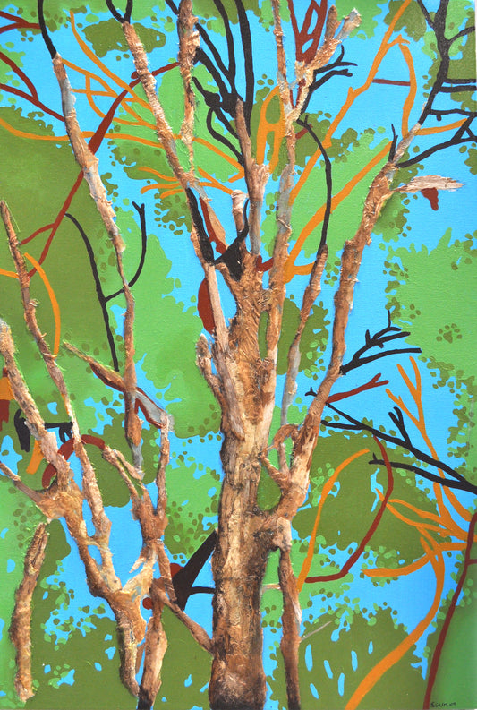 Paperbark Trees