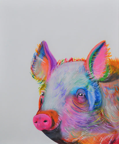 Colourful Piggy