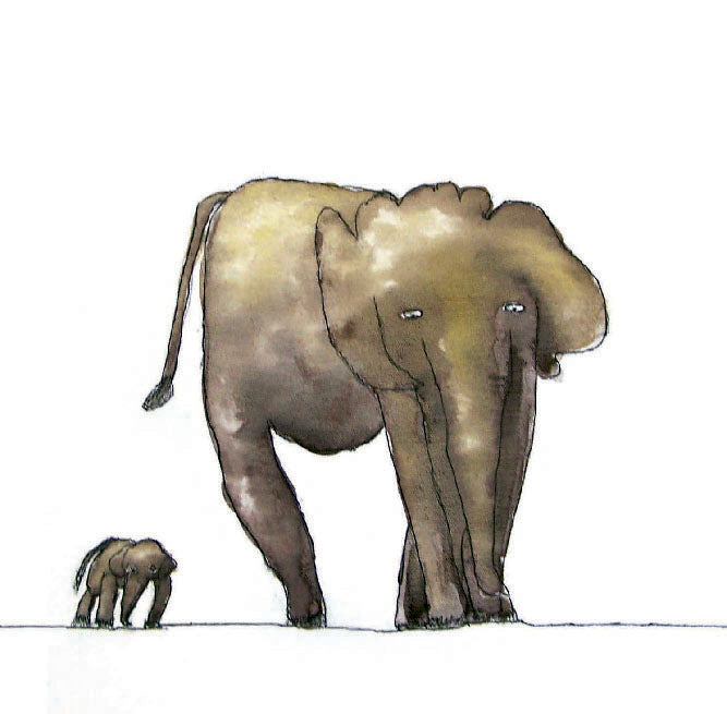 Animal Kingdom Card Series