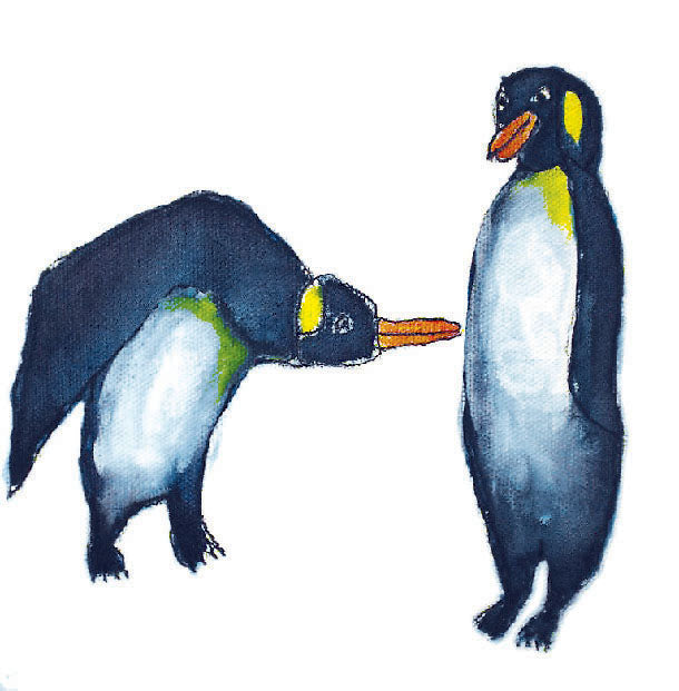 Animal Kingdom Card Series